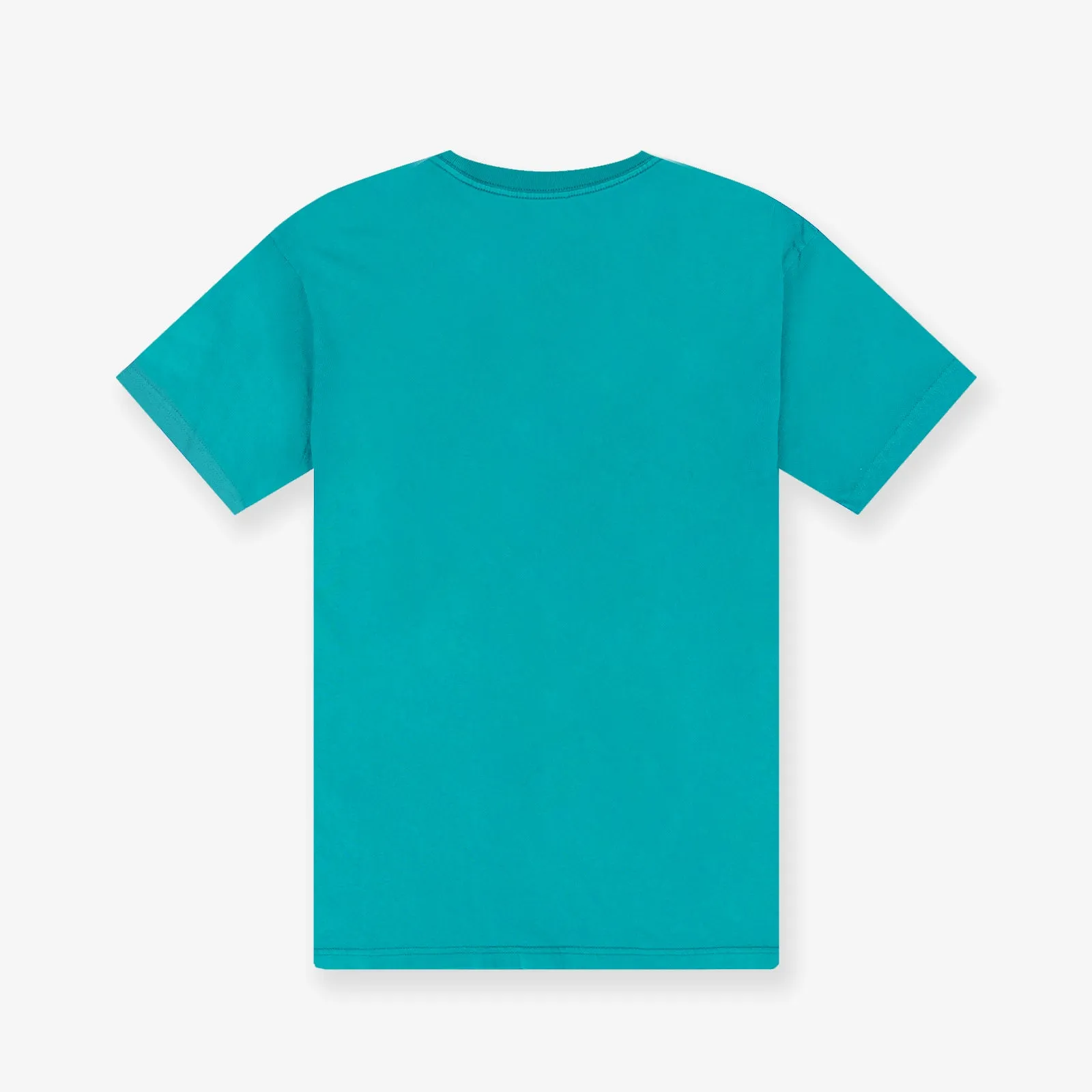 Charlotte Hornets Vintage HWC Ivy Arch Tee - Faded Teal