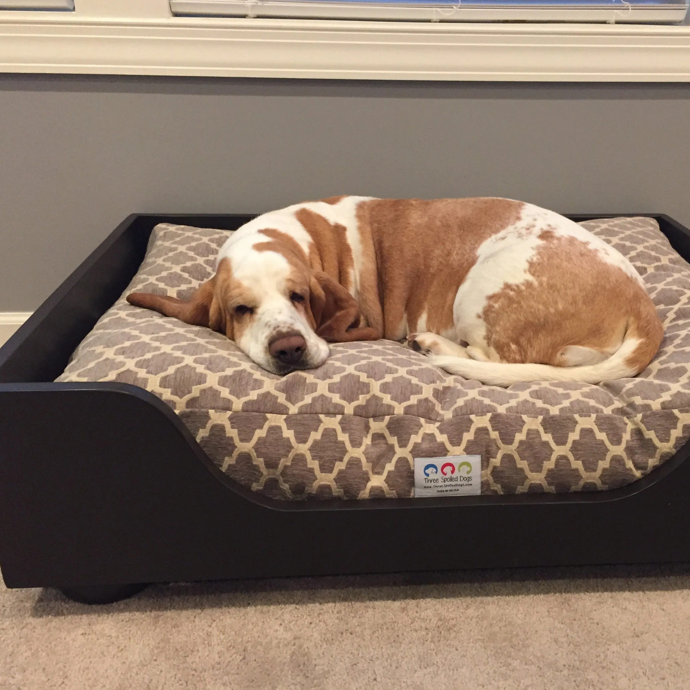 Elevated Wood Dog Beds as Seen in Southern Living with Free Shipping