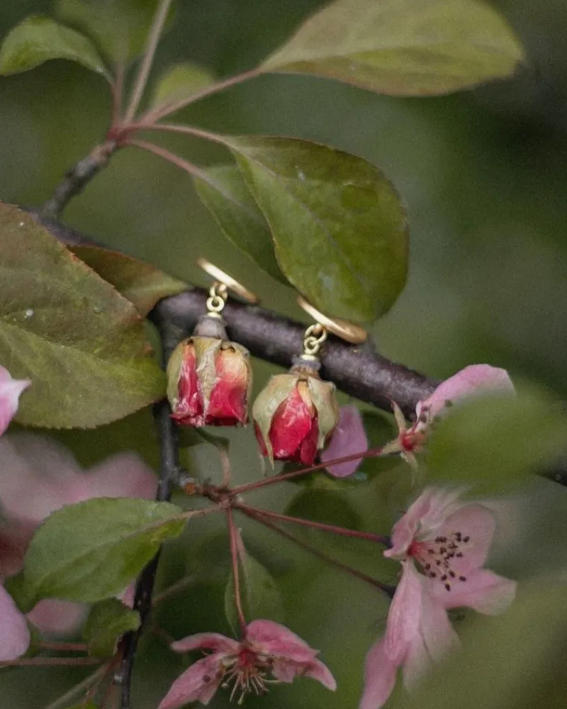 Fans Look of Silver Needle Preserved Flower Dried Flower Earrings Simple Rose Earrings