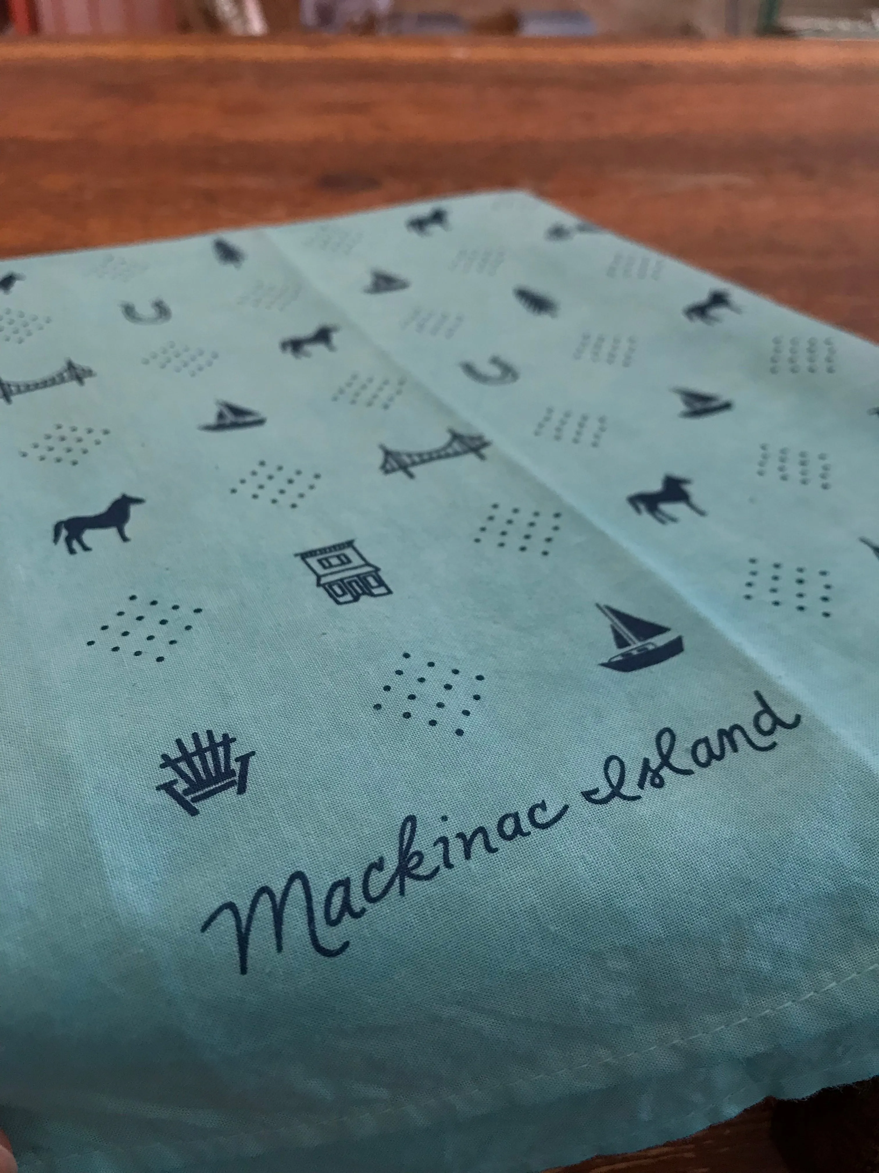 Mackinac Icons Aqua Bandana